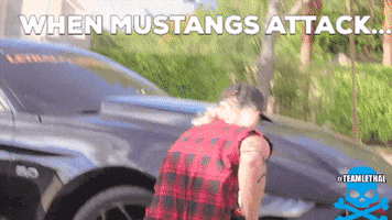 Mustang King GIF by TeamLethal