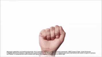 200.gif?cid=fc005b0888ab2b512eb28e87acb0ddf90302fbce07e016a9&rid=200.gif&ct=g