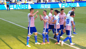 Futbol Paraguay GIF by Copa América