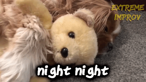 Sleepy Good Night GIF by Extreme Improv - Find & Share on GIPHY