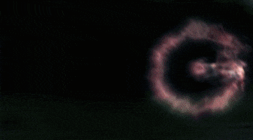 Hyppolite Wtf GIF by flanderscompany