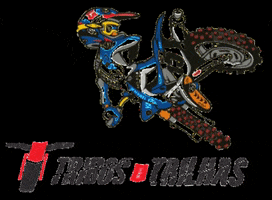 tribos fox cross motocross mx GIF