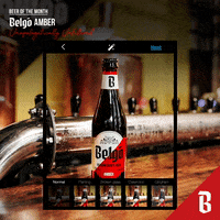 Belgian Beer Drink GIF by Belgo Belgian Craft Beer Brewery