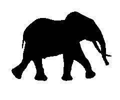 Jewelry Wtf Sticker by Wild Tomorrow Fund