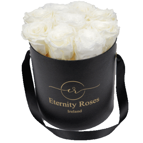 Eternity Roses Sticker