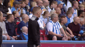 Beauty Yes GIF by Sheffield Wednesday Football Club
