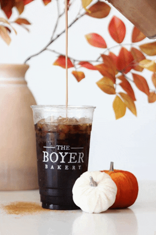 Pumpkin Spice GIF by The Boyer Bakery