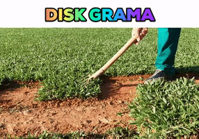Grass Blumenau GIF by Disk Grama
