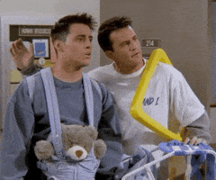 Season 2 Friends GIF