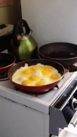 Eggs GIF - Find & Share on GIPHY
