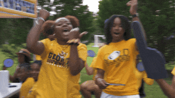 Cheer Fans GIF by Georgia Southwestern State University