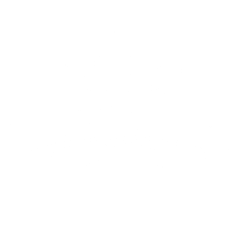 Beauty Flower Sticker