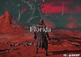 Miami Florida GIF by @3HIEF on IG