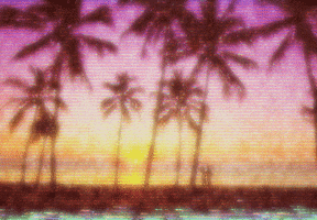 palm trees 80s GIF