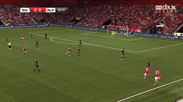 sportal  GIF