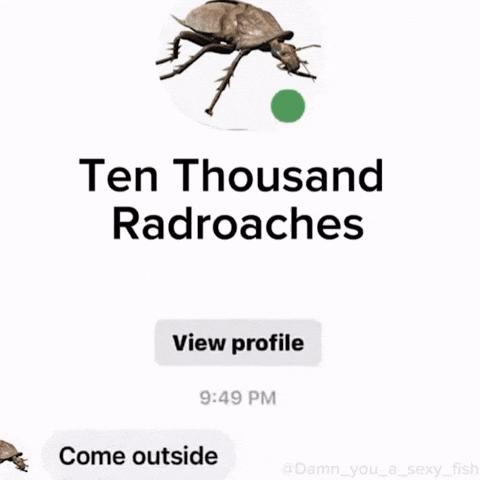 Fallout GIF