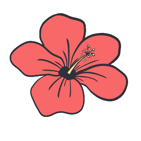 Hawaii Hibiscus Sticker by Momohara Media