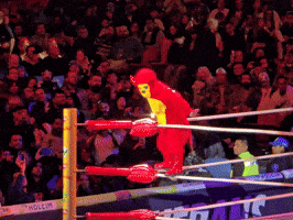 Lucha Libre Wrestling GIF
