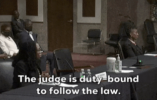 Judge GIF by GIPHY News