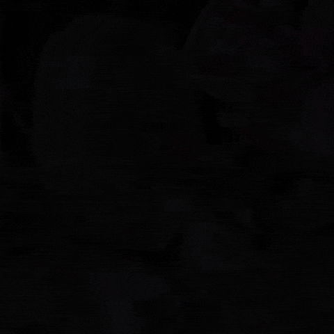 Monster Energy GIF