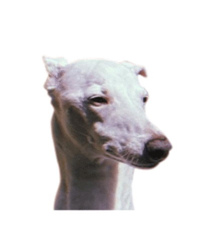 Sweat It Out Sticker