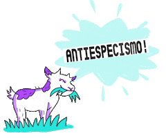 festmyd Sticker