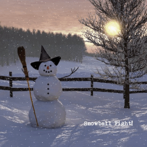 Snowball GIF - Find & Share on GIPHY