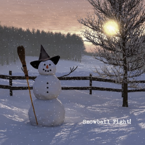 Snowball GIF