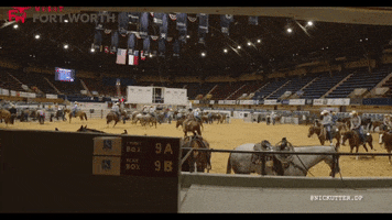 Travel Horse GIF by Visit Fort Worth