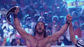 Happy Seth Rollins GIF by WWE