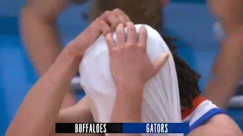 Florida Gators Sport GIF