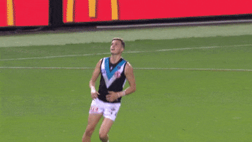 Aussie Rules Celebration GIF by Port Adelaide FC