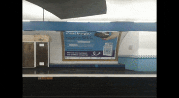200.gif?cid=fc005b08df16f3ae04e01c396d9fc7794f1fbf48628cb4d4&rid=200.gif&ct=g