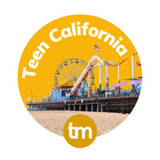 Travel California Sticker by TravelMate Intercâmbio