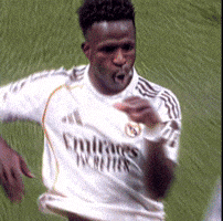 Vinijr Viniciusjr GIF
