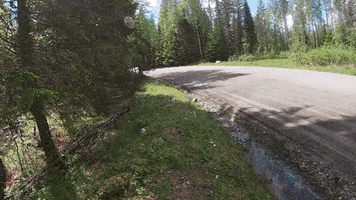 Rally GIF