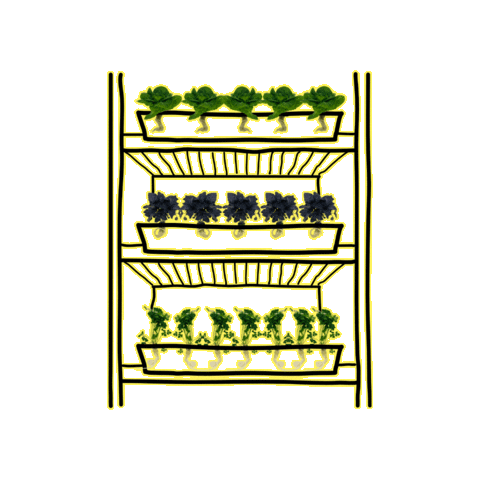 Beleaf_farming Sticker