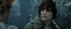 chicken dinner the lord of the rings frodo elijah wood GIF