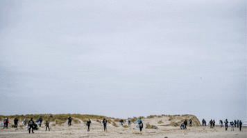 Terschelling Trouw GIF