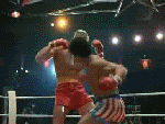 giphy.gif