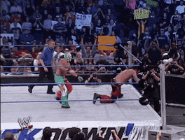 smackdown live sport GIF by WWE