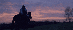 robert redford horseback GIF by Fox Searchlight