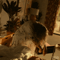 Preist White Lotus Gifs Get The Best Gif On Giphy