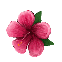 200w.gif?cid=ecf05e472nm27ndm3gd6df8pbbx