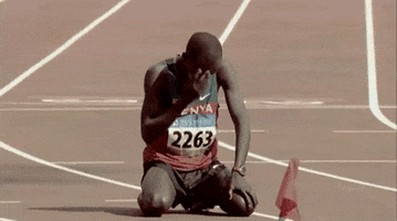 [Obrazek: 200.gif#205]