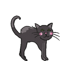 Black Cat Sticker by krima&isa