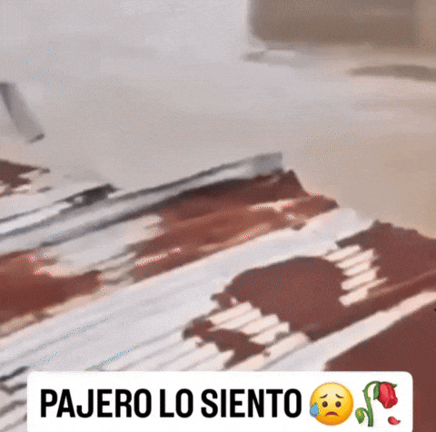 Wilson Lo Siento GIF