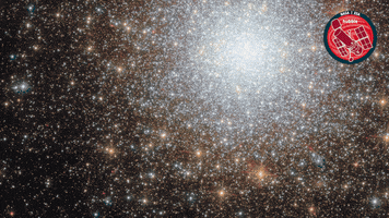 Stars Glitter GIF by ESA/Hubble Space Telescope