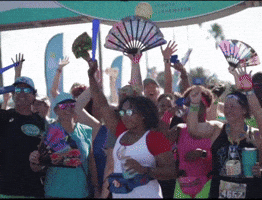 St Pete Run Fest GIF