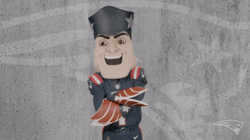 Oh Yeah Reaction GIF by New England Patriots